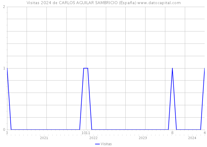 Visitas 2024 de CARLOS AGUILAR SAMBRICIO (España) 