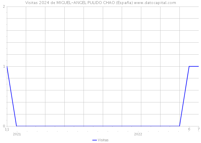 Visitas 2024 de MIGUEL-ANGEL PULIDO CHAO (España) 