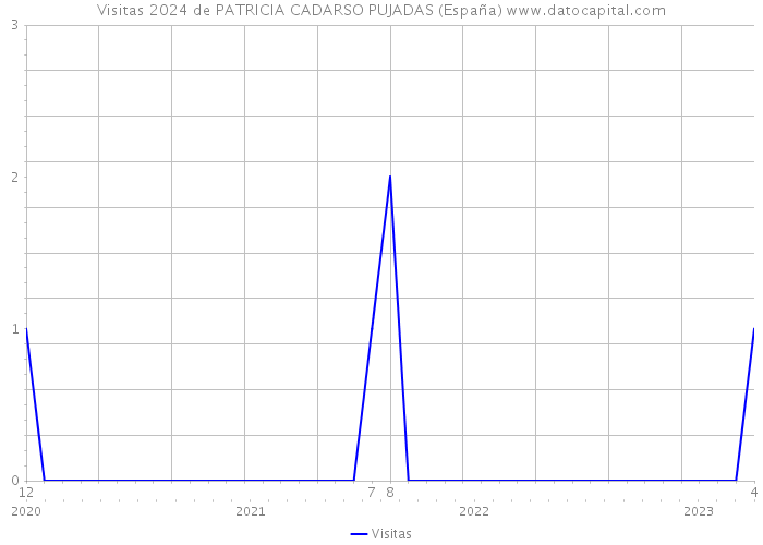 Visitas 2024 de PATRICIA CADARSO PUJADAS (España) 
