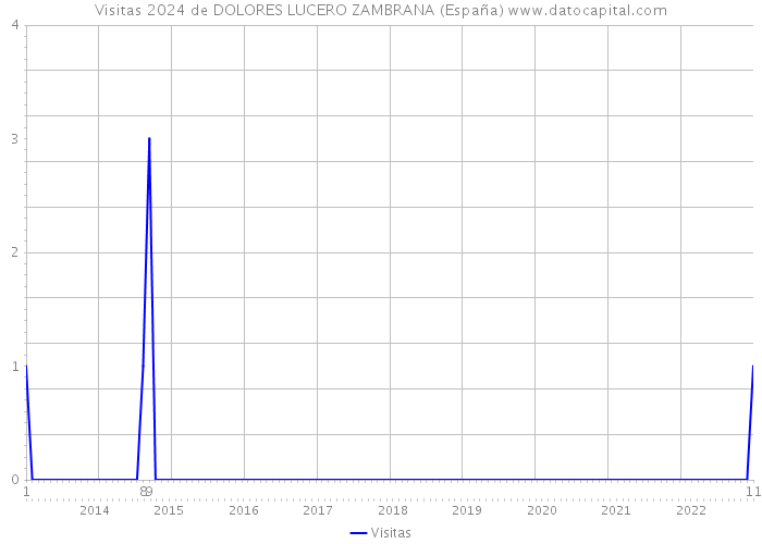 Visitas 2024 de DOLORES LUCERO ZAMBRANA (España) 