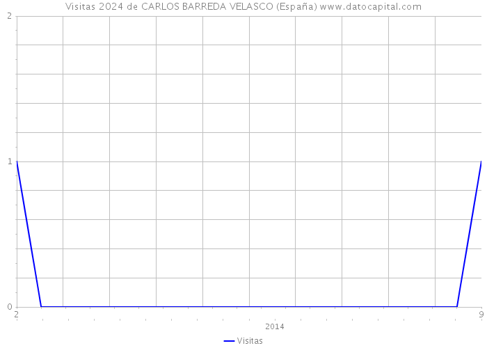 Visitas 2024 de CARLOS BARREDA VELASCO (España) 
