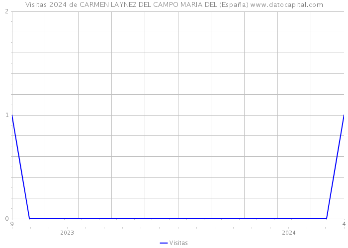Visitas 2024 de CARMEN LAYNEZ DEL CAMPO MARIA DEL (España) 