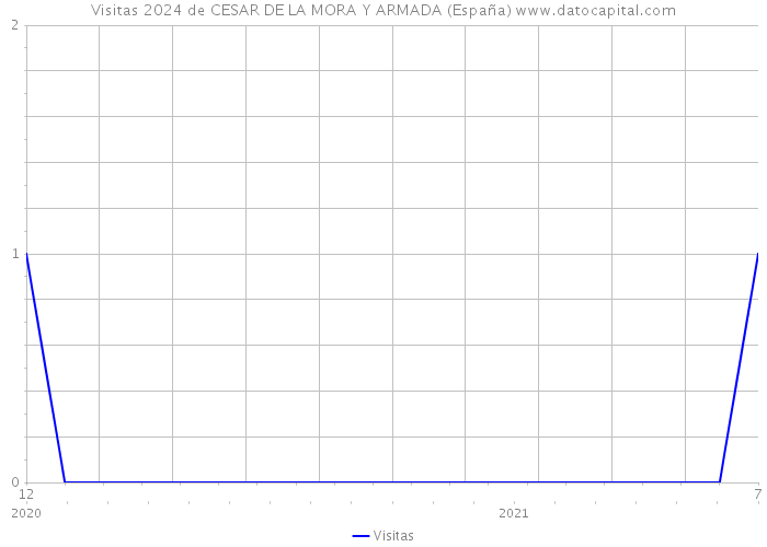 Visitas 2024 de CESAR DE LA MORA Y ARMADA (España) 