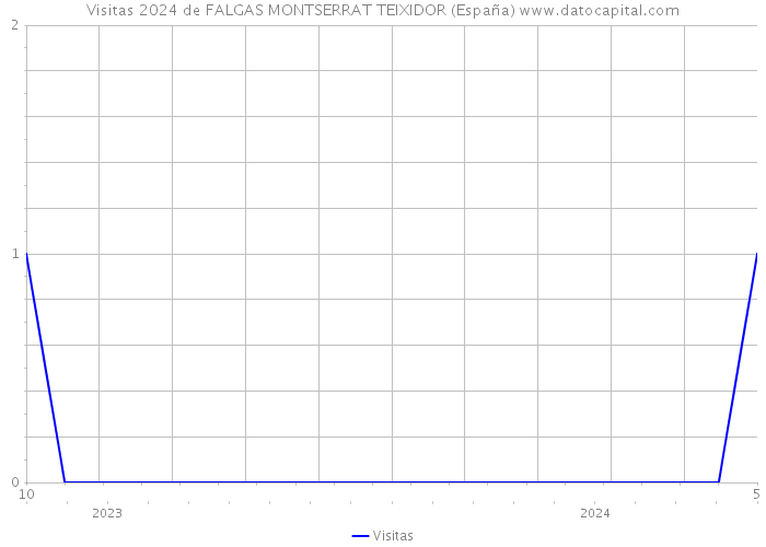 Visitas 2024 de FALGAS MONTSERRAT TEIXIDOR (España) 
