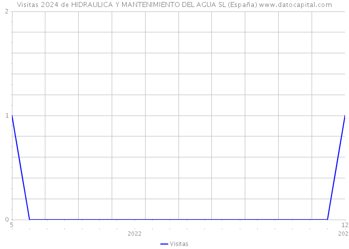 Visitas 2024 de HIDRAULICA Y MANTENIMIENTO DEL AGUA SL (España) 