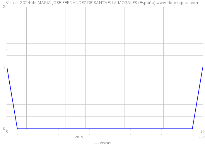 Visitas 2024 de MARIA JOSE FERNANDEZ DE SANTAELLA MORALES (España) 
