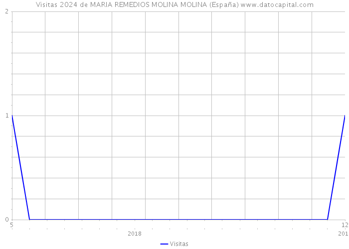 Visitas 2024 de MARIA REMEDIOS MOLINA MOLINA (España) 