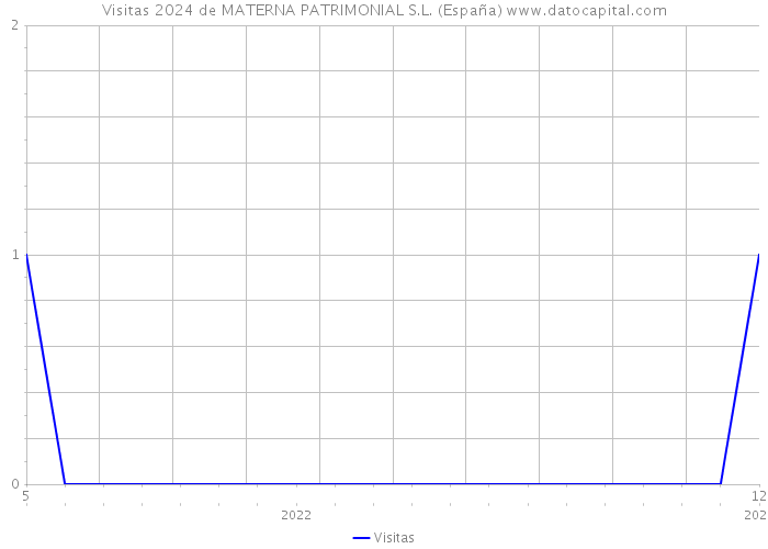 Visitas 2024 de MATERNA PATRIMONIAL S.L. (España) 