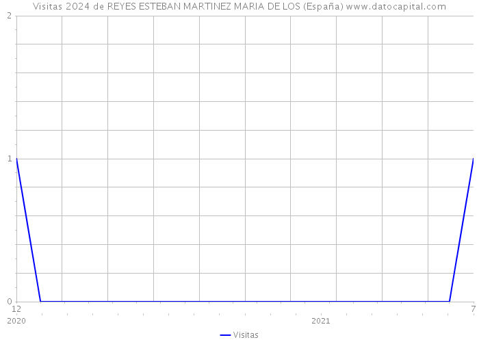 Visitas 2024 de REYES ESTEBAN MARTINEZ MARIA DE LOS (España) 