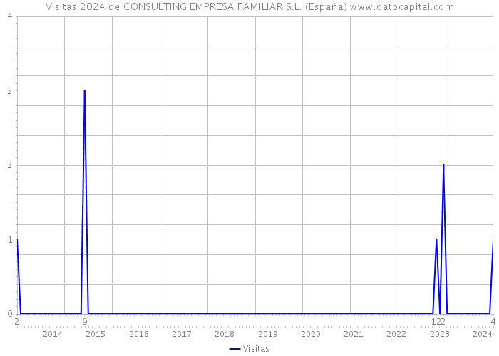 Visitas 2024 de CONSULTING EMPRESA FAMILIAR S.L. (España) 