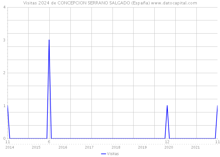 Visitas 2024 de CONCEPCION SERRANO SALGADO (España) 