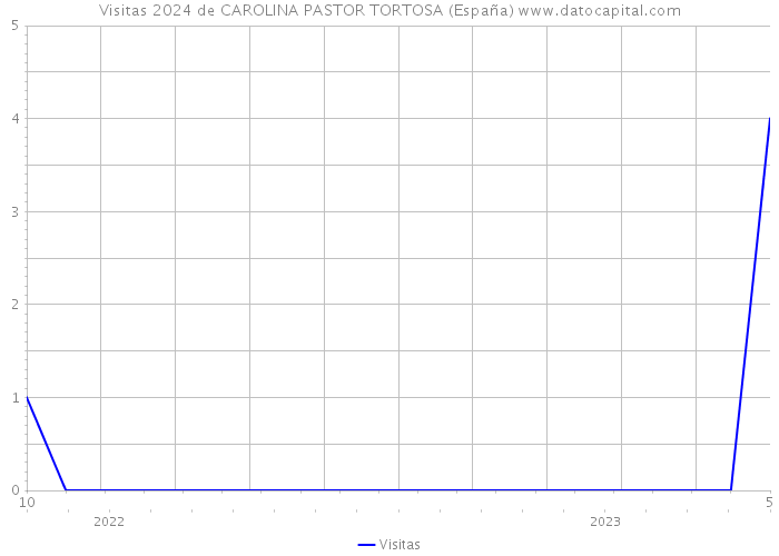 Visitas 2024 de CAROLINA PASTOR TORTOSA (España) 