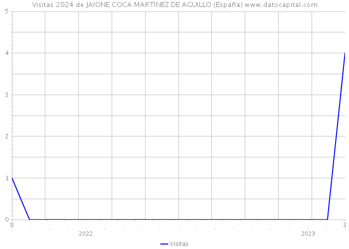 Visitas 2024 de JAIONE COCA MARTINEZ DE AGUILLO (España) 