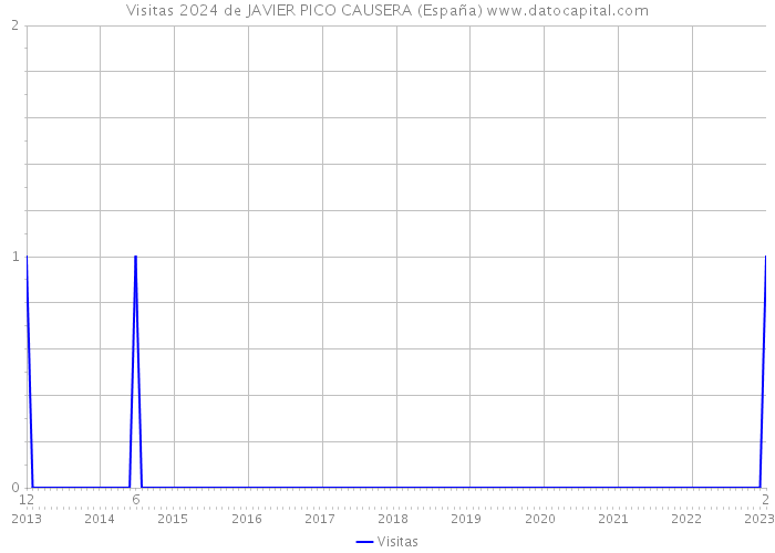 Visitas 2024 de JAVIER PICO CAUSERA (España) 
