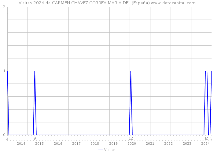 Visitas 2024 de CARMEN CHAVEZ CORREA MARIA DEL (España) 