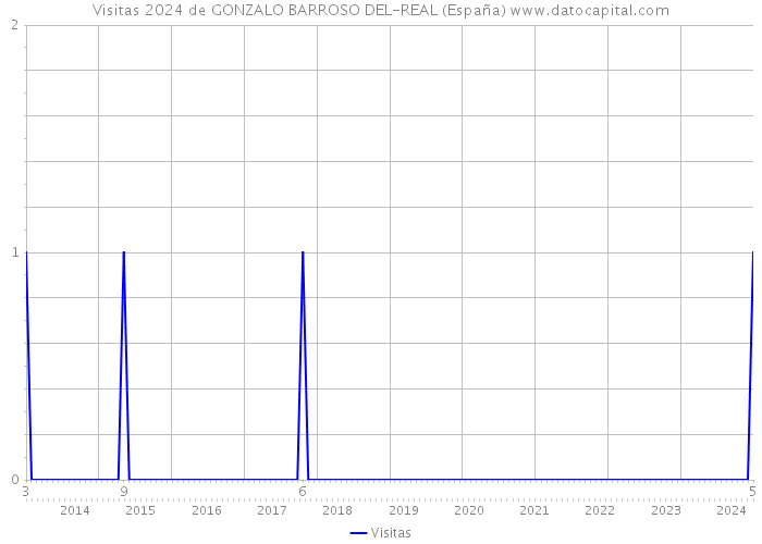 Visitas 2024 de GONZALO BARROSO DEL-REAL (España) 