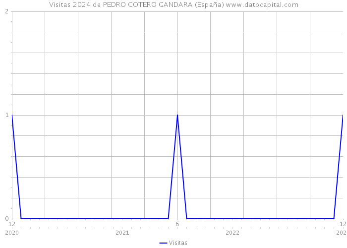 Visitas 2024 de PEDRO COTERO GANDARA (España) 
