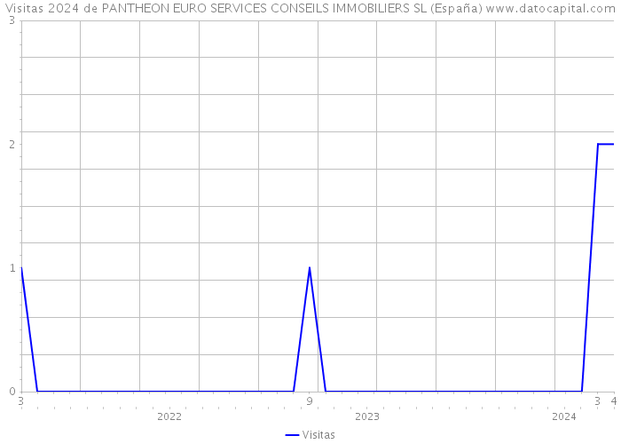 Visitas 2024 de PANTHEON EURO SERVICES CONSEILS IMMOBILIERS SL (España) 