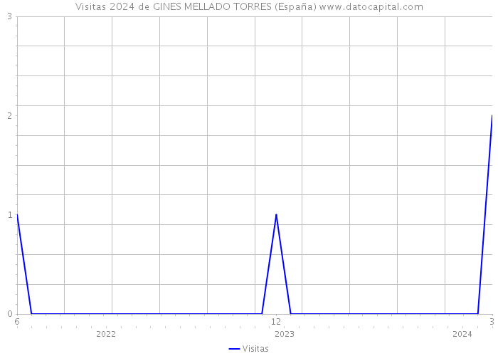 Visitas 2024 de GINES MELLADO TORRES (España) 