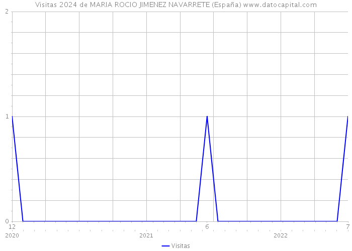 Visitas 2024 de MARIA ROCIO JIMENEZ NAVARRETE (España) 