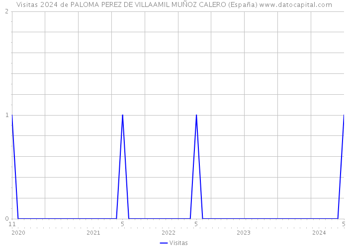 Visitas 2024 de PALOMA PEREZ DE VILLAAMIL MUÑOZ CALERO (España) 