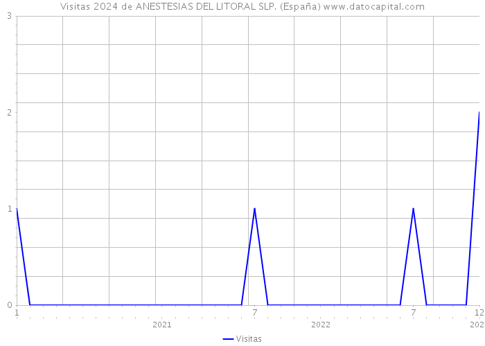 Visitas 2024 de ANESTESIAS DEL LITORAL SLP. (España) 