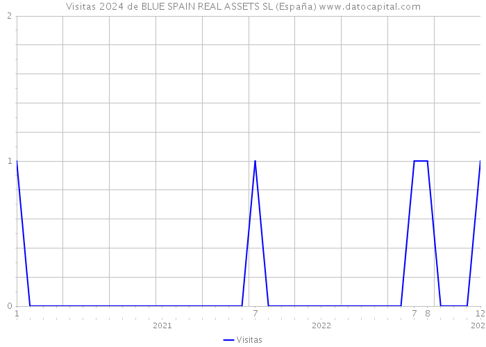 Visitas 2024 de BLUE SPAIN REAL ASSETS SL (España) 