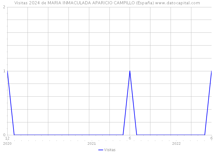 Visitas 2024 de MARIA INMACULADA APARICIO CAMPILLO (España) 