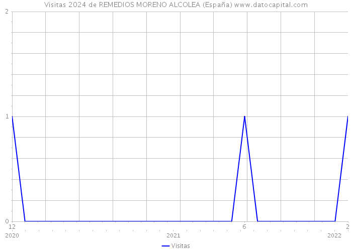 Visitas 2024 de REMEDIOS MORENO ALCOLEA (España) 