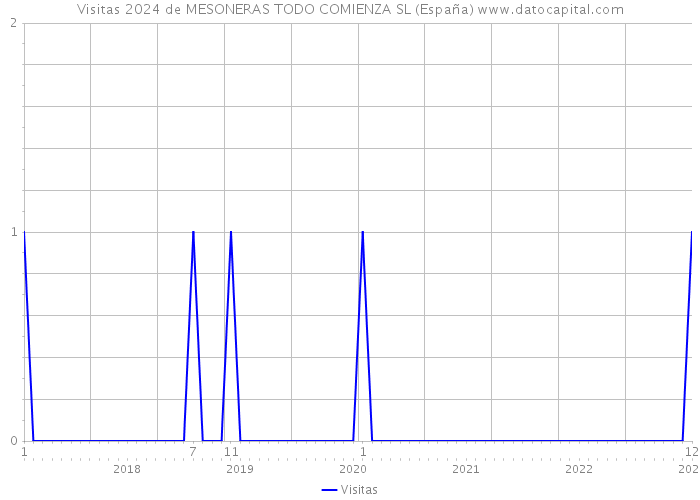 Visitas 2024 de MESONERAS TODO COMIENZA SL (España) 