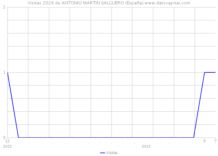 Visitas 2024 de ANTONIO MARTIN SALGUERO (España) 