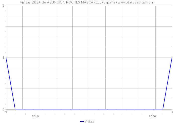 Visitas 2024 de ASUNCION ROCHES MASCARELL (España) 