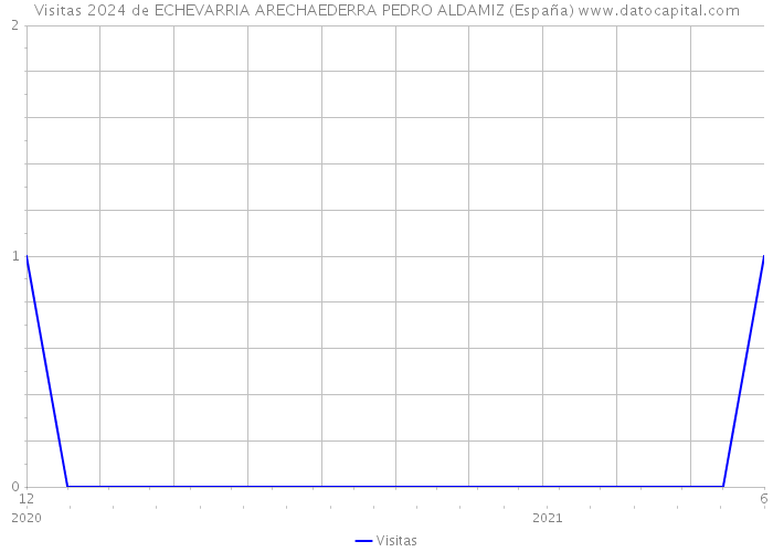 Visitas 2024 de ECHEVARRIA ARECHAEDERRA PEDRO ALDAMIZ (España) 