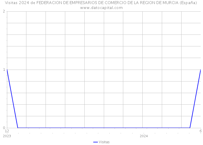Visitas 2024 de FEDERACION DE EMPRESARIOS DE COMERCIO DE LA REGION DE MURCIA (España) 