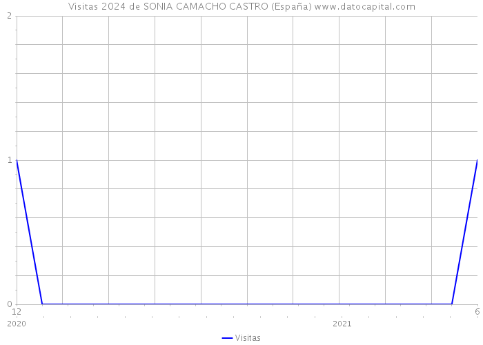 Visitas 2024 de SONIA CAMACHO CASTRO (España) 