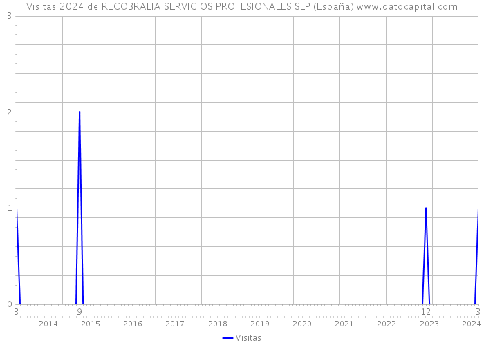 Visitas 2024 de RECOBRALIA SERVICIOS PROFESIONALES SLP (España) 