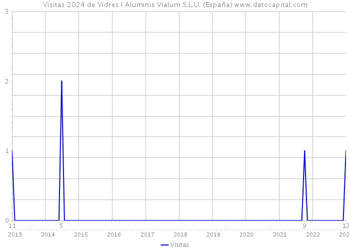 Visitas 2024 de Vidres I Aluminis Vialum S.L.U. (España) 