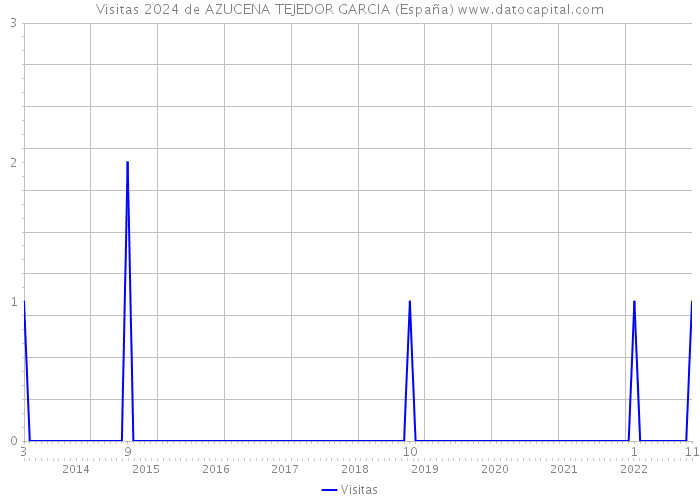 Visitas 2024 de AZUCENA TEJEDOR GARCIA (España) 