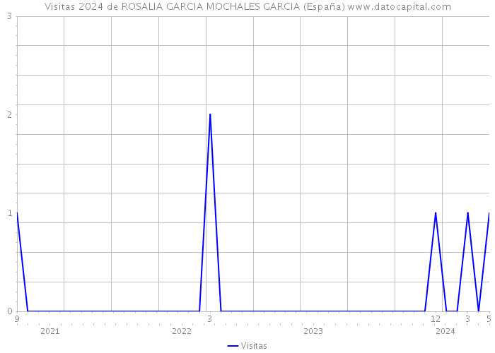 Visitas 2024 de ROSALIA GARCIA MOCHALES GARCIA (España) 