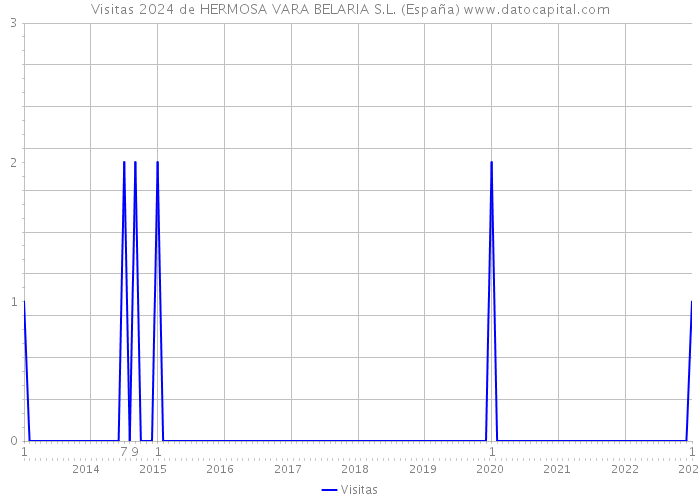Visitas 2024 de HERMOSA VARA BELARIA S.L. (España) 