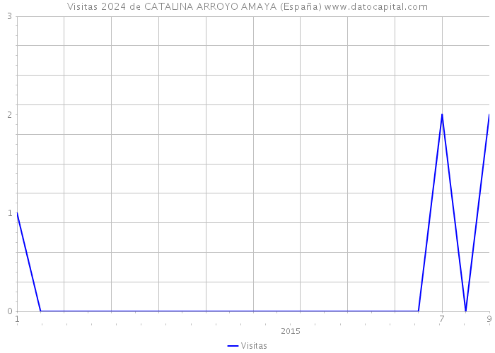 Visitas 2024 de CATALINA ARROYO AMAYA (España) 