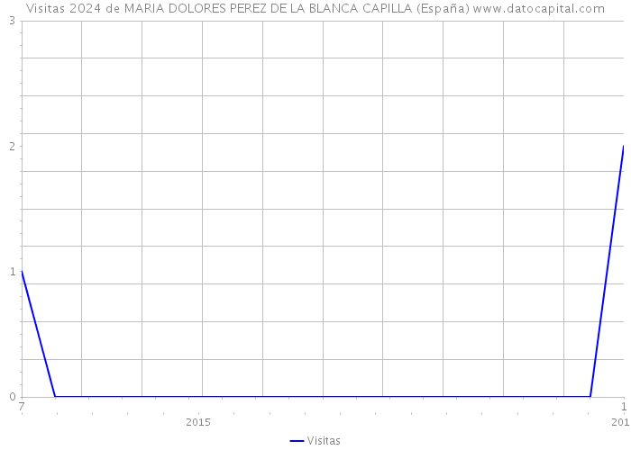 Visitas 2024 de MARIA DOLORES PEREZ DE LA BLANCA CAPILLA (España) 
