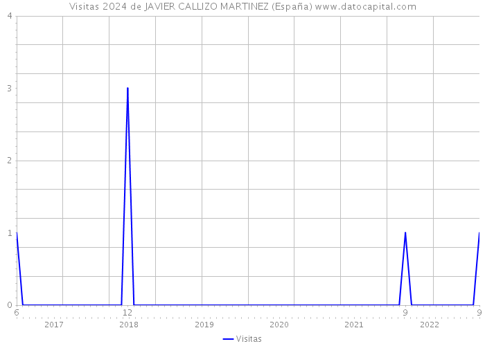 Visitas 2024 de JAVIER CALLIZO MARTINEZ (España) 
