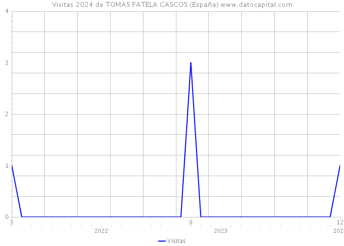 Visitas 2024 de TOMAS FATELA CASCOS (España) 