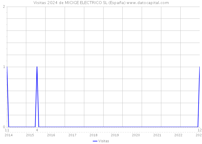 Visitas 2024 de MICIGE ELECTRICO SL (España) 