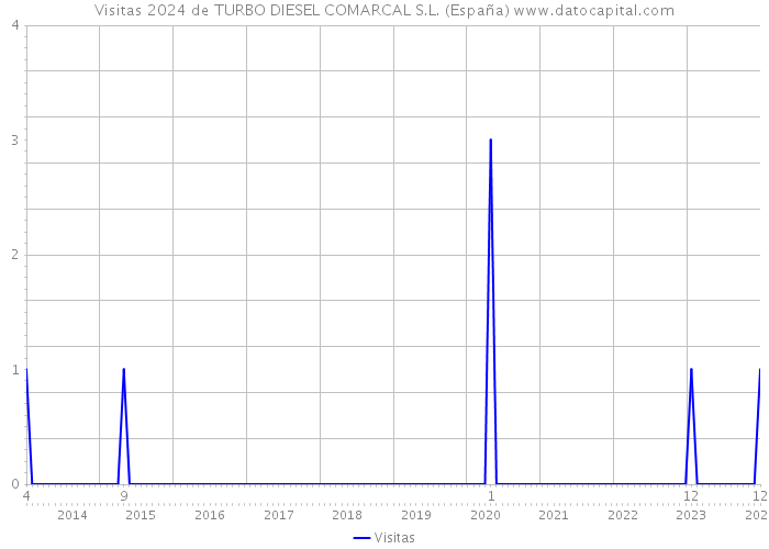 Visitas 2024 de TURBO DIESEL COMARCAL S.L. (España) 