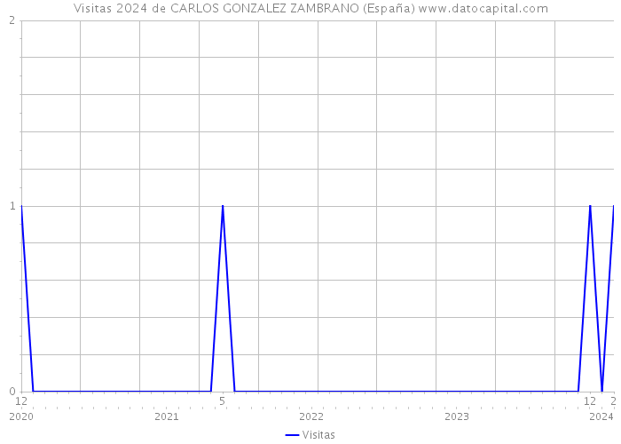 Visitas 2024 de CARLOS GONZALEZ ZAMBRANO (España) 