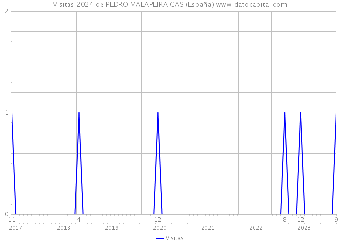 Visitas 2024 de PEDRO MALAPEIRA GAS (España) 