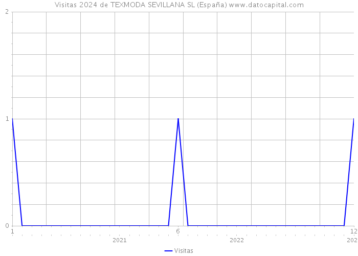 Visitas 2024 de TEXMODA SEVILLANA SL (España) 
