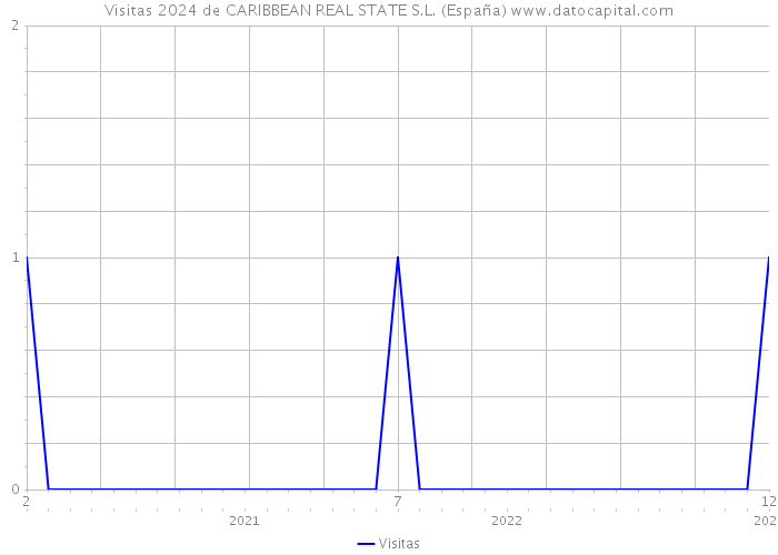 Visitas 2024 de CARIBBEAN REAL STATE S.L. (España) 